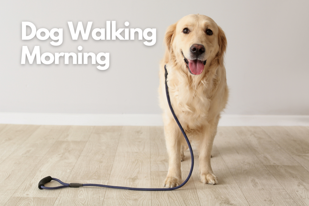 Dog Walking Morning